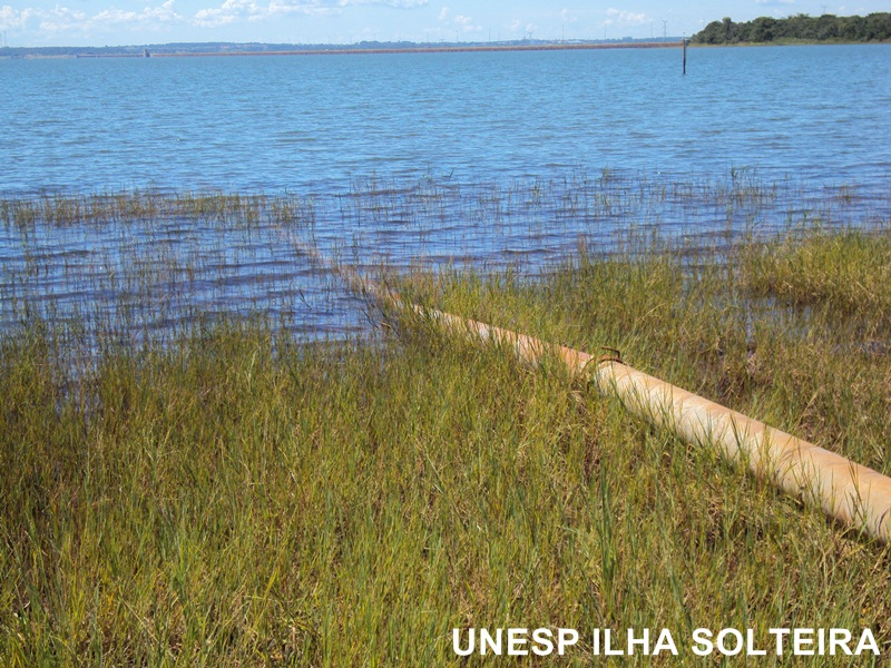 aula_cerrado_12marc2012 (8).JPG